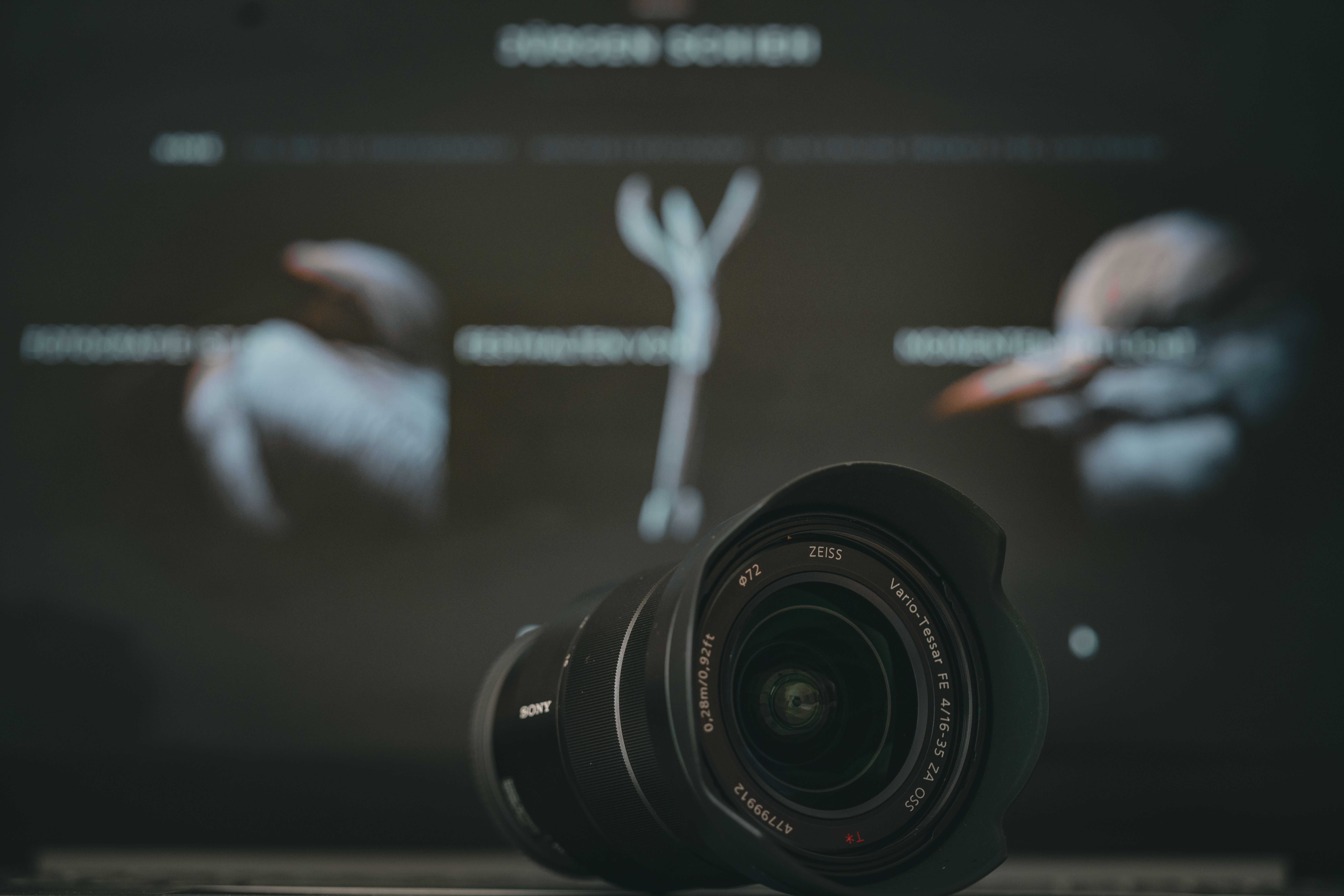 Fotografie 1×1: Welches Objektiv für welchen Zweck?