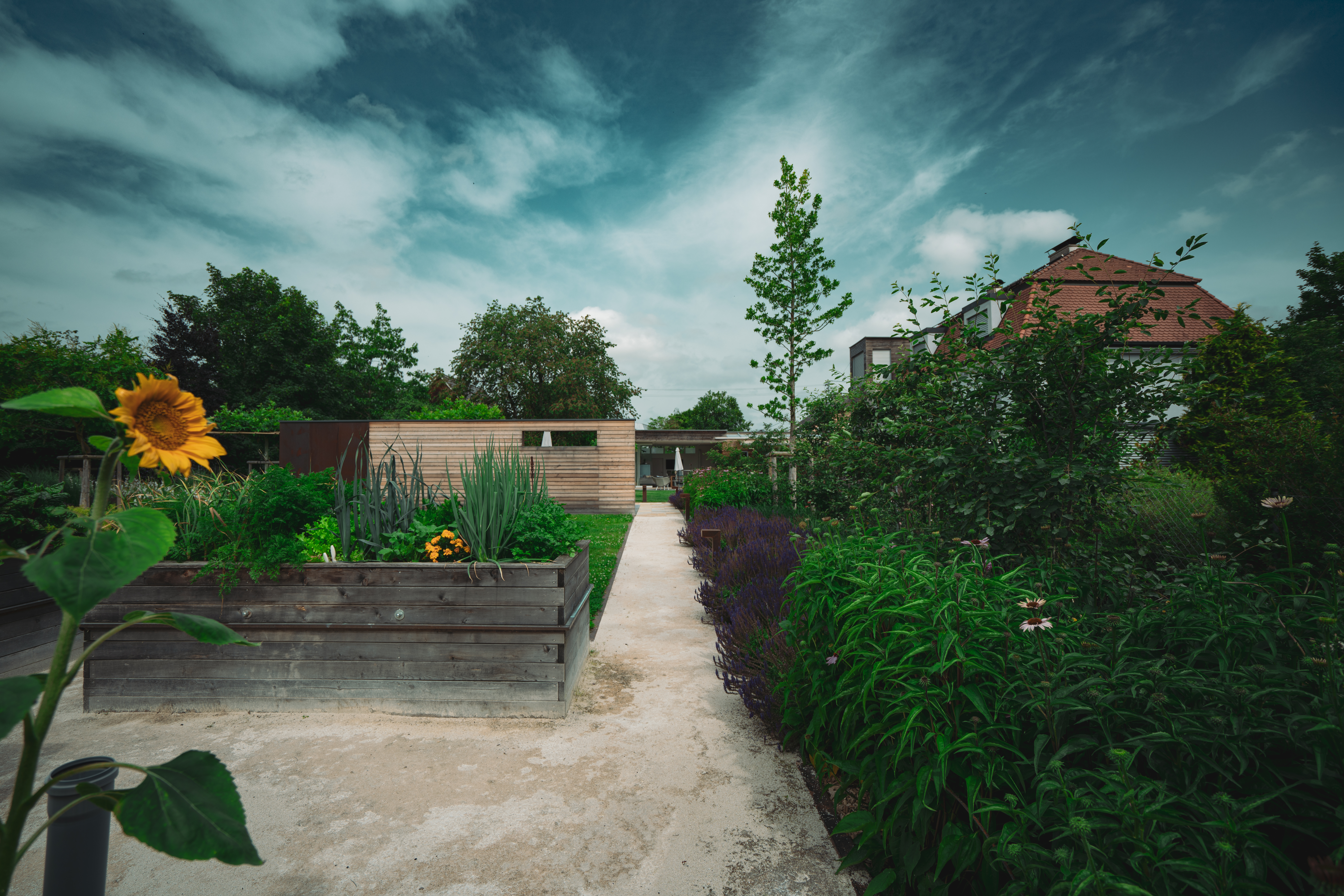 Auftragsfotografie für die Baumschule und Gartengestalter Ökoplant aus Wels: Ein Unverwechselbarer Stil mit Eigenem Preset
